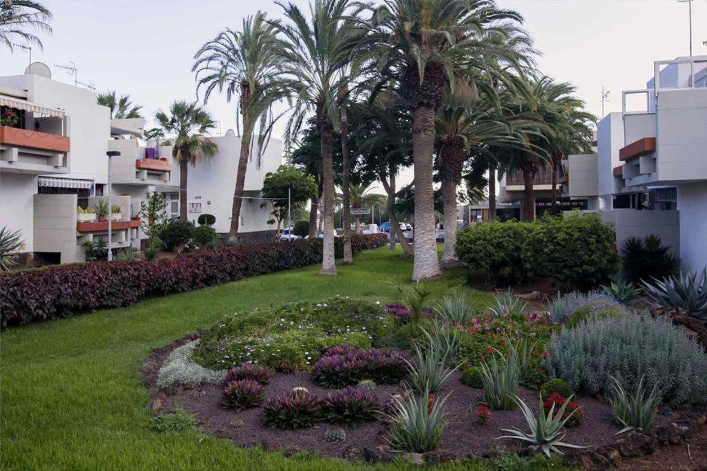 Tenerife Primavera Arona  Extérieur photo